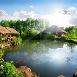 photo of a calm morning on a beautiful pond