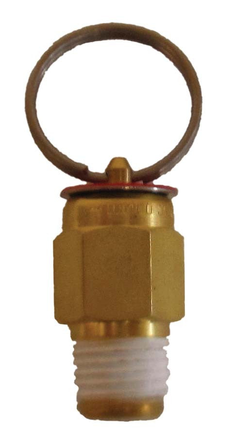 EasyPro PR10 10 PSI Pressure Relief Valve